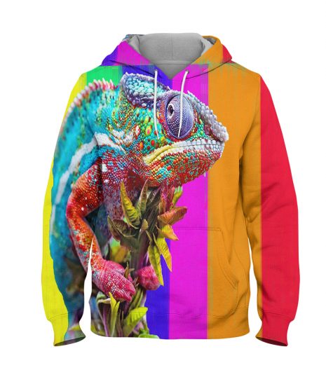Color Lizard Hoodie – 3D Printed Pullover Hoodie